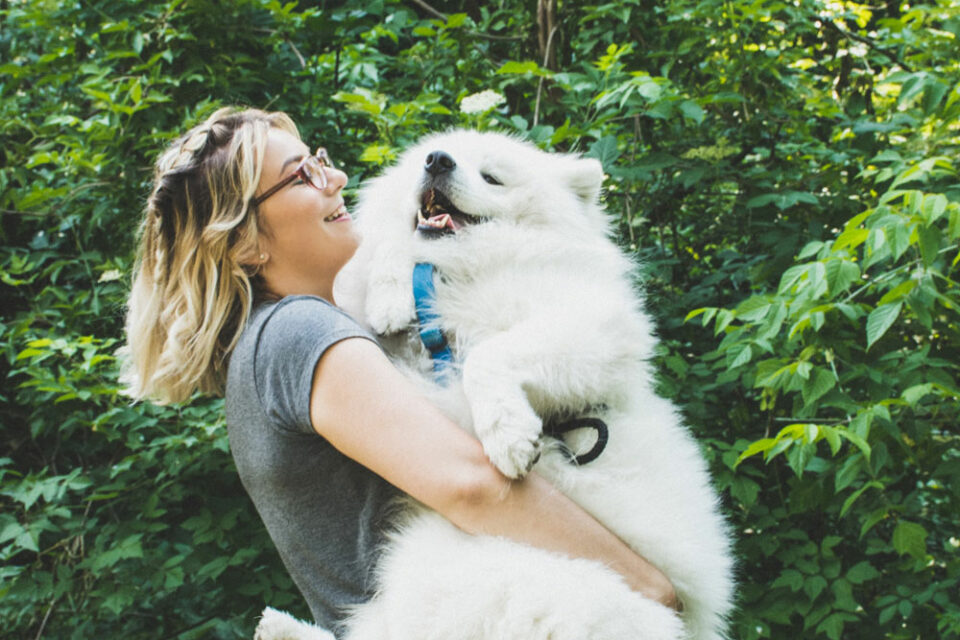 un maître retrouve son animal