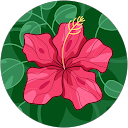 Photo de profil de Rose Glineur
